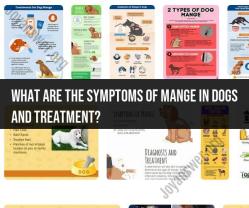 Understanding Mange Symptoms in Dogs and Available Treatments