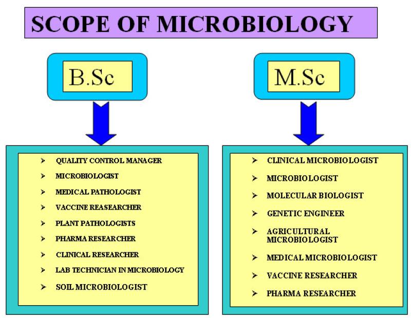 Understanding Microbiology: Medical Applications Explored