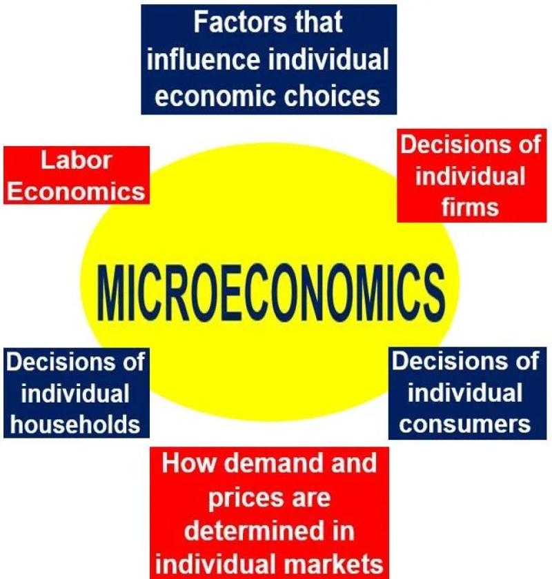 Understanding Microeconomics: Core Concepts Explained