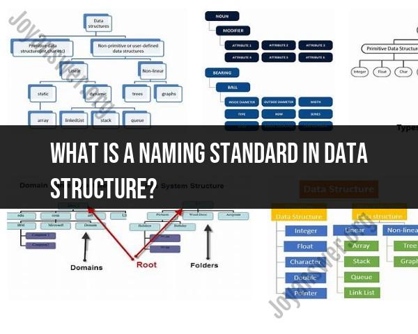 Understanding Naming Standards in Data Structures