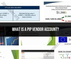 Understanding PIP Vendor Accounts: Definition and Purpose