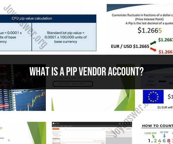 Understanding PIP Vendor Accounts: Definition and Purpose