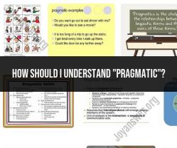 Understanding "Pragmatic": Meaning and Usage