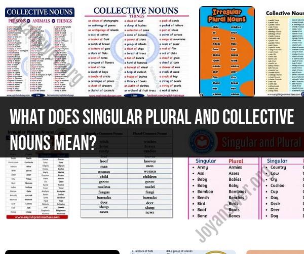 Understanding Singular, Plural, and Collective Nouns