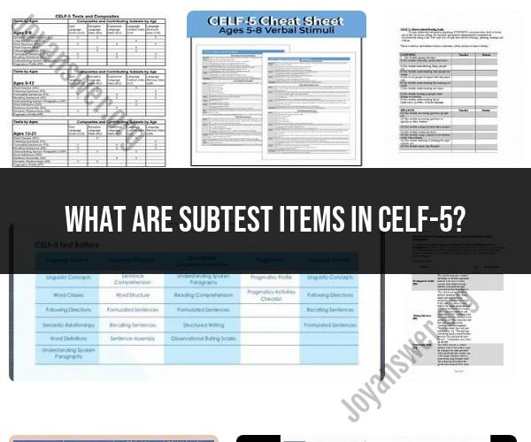 Understanding Subtest Items in CELF-5 Assessment