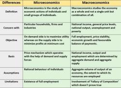 Understanding the Difference Between Microeconomics and Macroeconomics