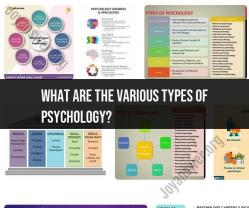 Understanding the Different Types of Psychology