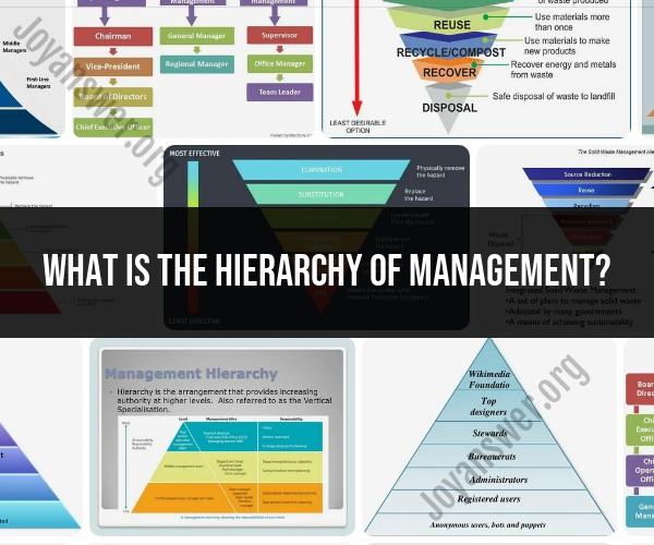 Understanding the Hierarchy of Management