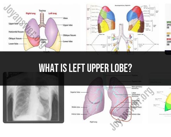 Understanding the Left Upper Lobe
