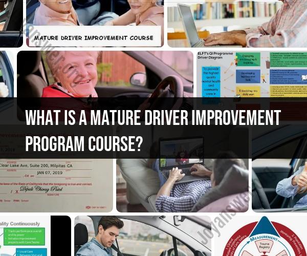 Understanding the Mature Driver Improvement Program Course
