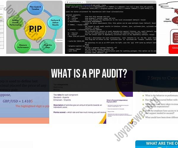 Understanding the PIP Audit: Process and Implications
