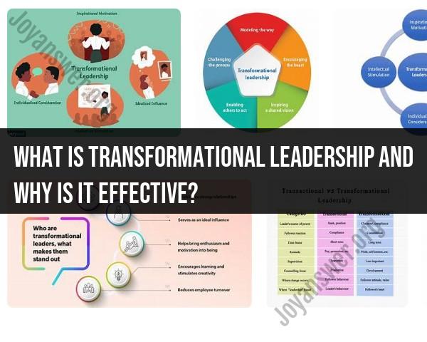 Understanding Transformational Leadership: Effectiveness Insight