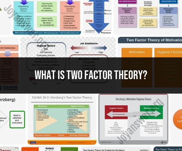 Understanding Two-Factor Theory: Exploring Herzberg's Motivation Theory