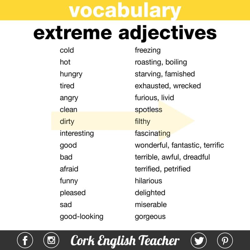 Understanding Vocabulary Words: Definitions and Meanings