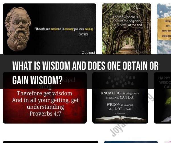 Understanding Wisdom: The Acquisition and Nature of Wisdom