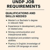 UNDP Job Requirements: Qualifications and Skills Needed