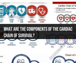 Unlocking the Chain of Survival: Cardiac Emergency Response