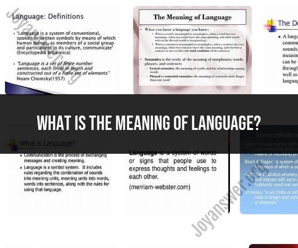 Unpacking the Meaning of Language: A Linguistic Perspective