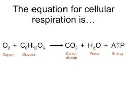 Unraveling Cellular Respiration: Definition and Formula