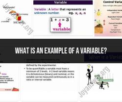 Unraveling the Concept of Variables: Examples and Significance