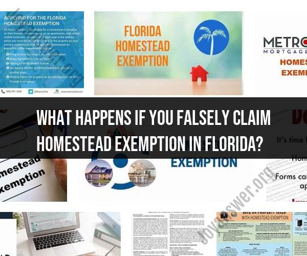 Unraveling the Consequences of False Homestead Exemption Claims