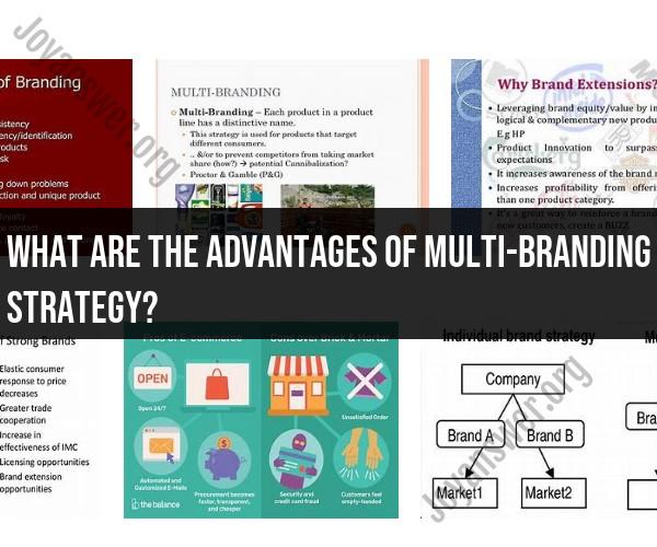 Unveiling Multi-Branding Strategy Advantages
