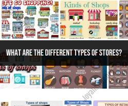 Unveiling the Array of Store Types