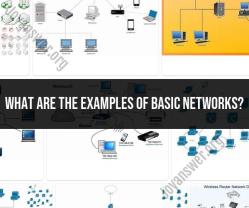 Unveiling the Foundations: Examples of Basic Network Configurations