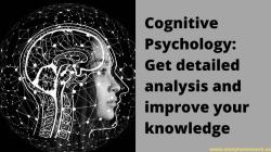 Unveiling the Mind: Focus Areas of Cognitive Psychology