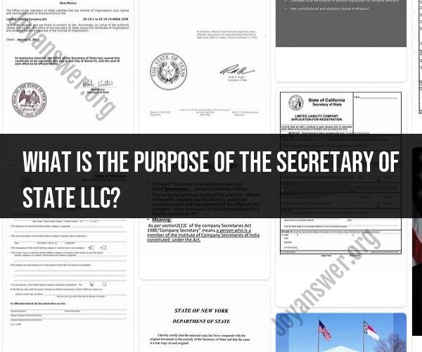 Unveiling the Purpose of the Secretary of State LLC