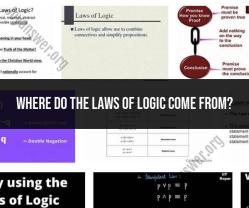 Unveiling the Source of Logic: Exploring the Foundations