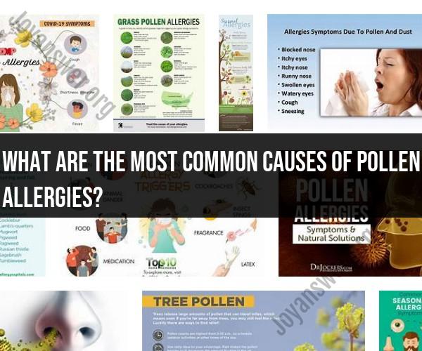 Unveiling the Triggers of Pollen Allergies