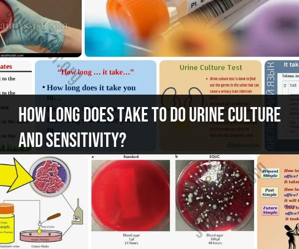 Urine Culture and Sensitivity: Testing Duration