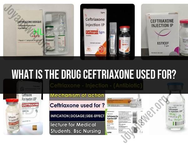 Uses of Ceftriaxone: Medication Overview