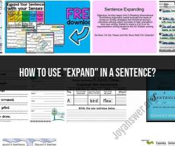 Using "Expand" in a Sentence: Examples and Context