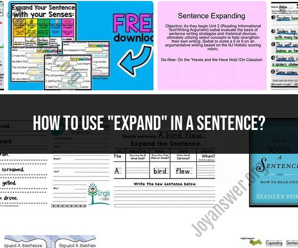 Using "Expand" in a Sentence: Examples and Context