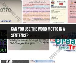 Using "Motto" in Sentences: Examples and Usage