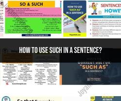 Using "Such" in a Sentence: Practical Examples