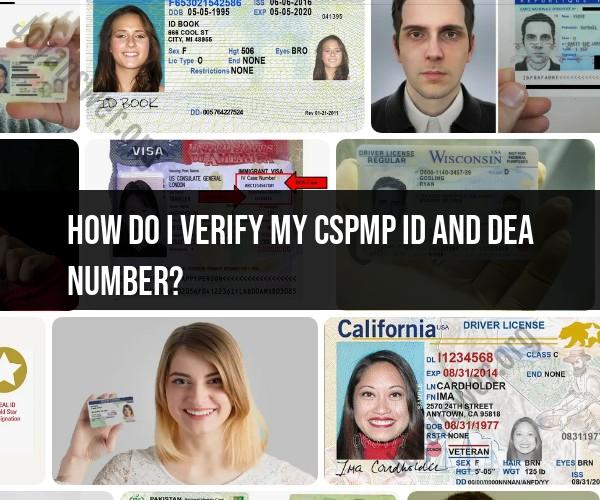 Verifying Your CSPMP ID and DEA Number: Necessary Steps