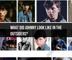 Visualizing Johnny in "The Outsiders": Character Description