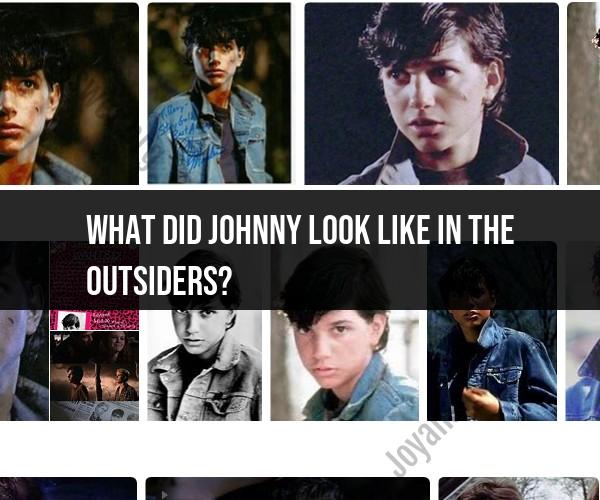 Visualizing Johnny in "The Outsiders": Character Description