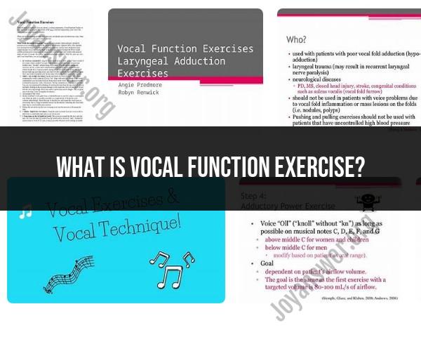 Vocal Function Exercises: A Guide