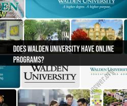 Walden University Online Programs: Navigating Educational Options