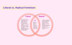 What Causes Radical Feminism?