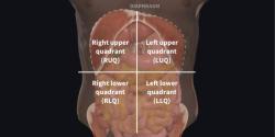 What Is the Right Lower Quadrant? Anatomy Explained