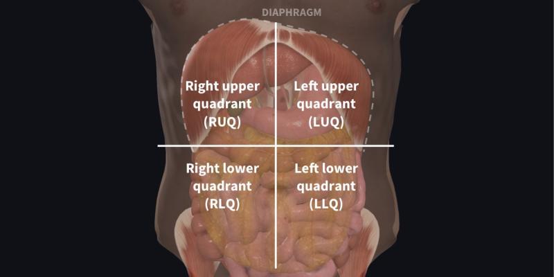 What Is the Right Lower Quadrant? Anatomy Explained