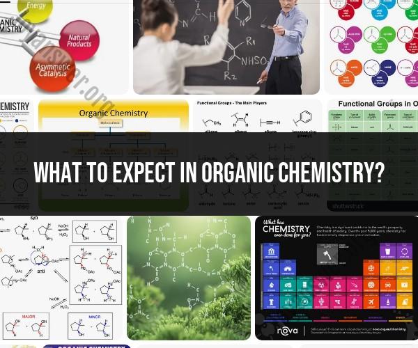 What to Expect in Organic Chemistry: Course Overview