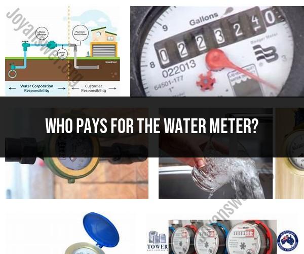 Who Pays for the Water Meter: Ownership and Responsibility