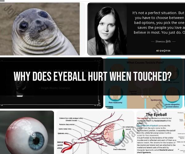 Why Does the Eyeball Hurt When Touched? Understanding Ocular Discomfort
