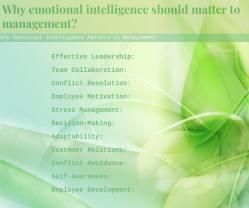 Why Emotional Intelligence Matters in Management